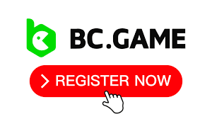 استكشاف عالم BC CO الفرص والتحديات استكشاف عالم BC CO الفرص والتحديات