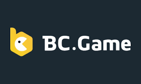 استكشاف عالم BC CO الفرص والتحديات استكشاف عالم BC CO الفرص والتحديات